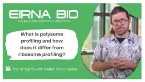 Difference between polysome profiling and ribosome profiling