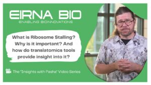 Exploring Ribosome Stalling with Translatomics