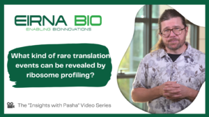 Rare translation events revealed by ribosome profiling