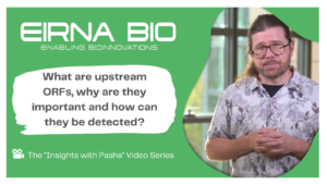 Detecting upstream ORFs and its importances