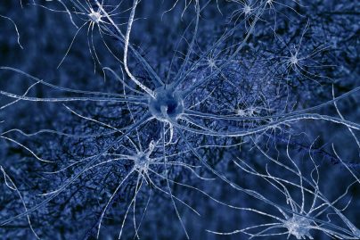 Neurons-1-scaled Neurons-1-scaled
