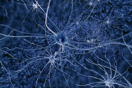 Neurons-1-scaled Neurons-1-scaled