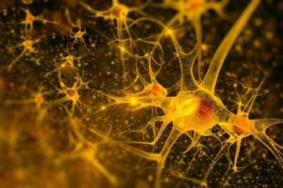 Neurons-2-768×512 Neurons-2-768x512
